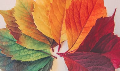 how_to_get_app_strore_seasonality_right