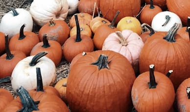 what_halloween_can_teach_you_about_aso
