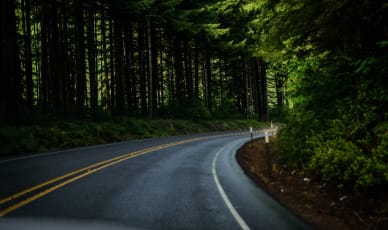 staying_ahead_of_the_curve_image