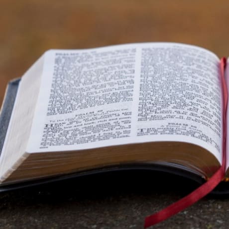 bible_of_user_behavior_app_store_cover_new1