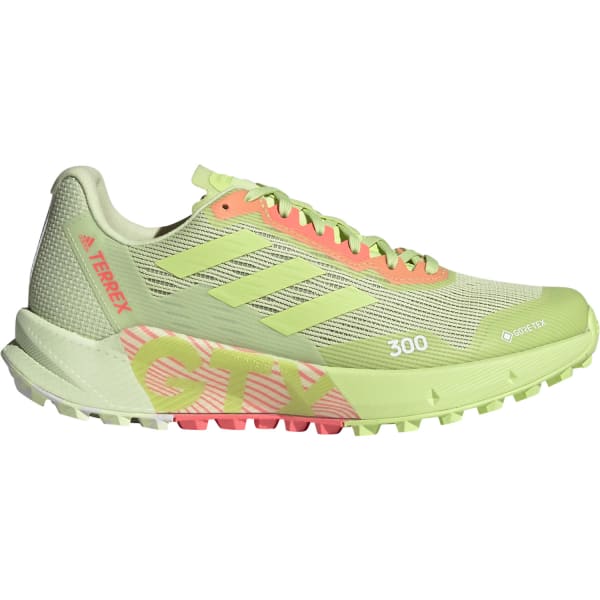 Damen Trailrunning-Schuh TERREX AGRAVIC FLOW 2 GTX W