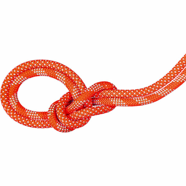 Seil 9.8 Crag Classic Rope