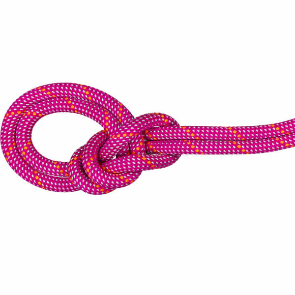 Seil 9.5 Crag Dry Rope