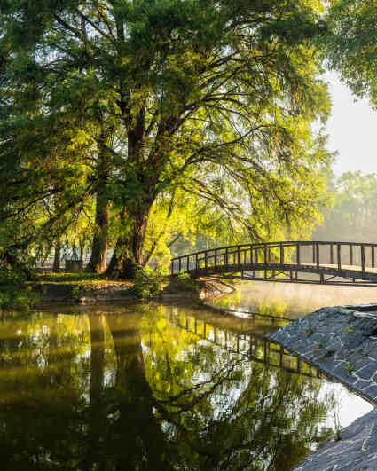 Chapultepec Park - Bosque de Chapultepec, Mexico City