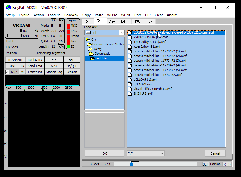 Loading an AVIF file into EasyPAL