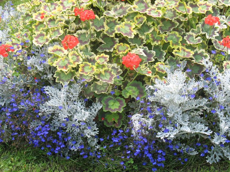 Geffrye Museum garden