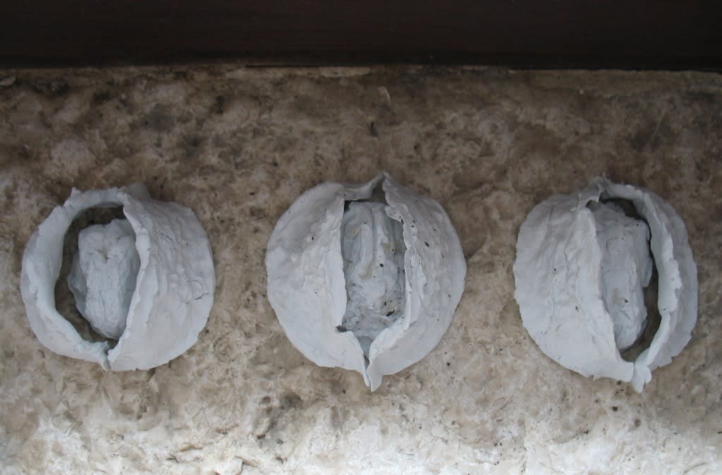 'Inside, Outside' - fired airdrying clay (2011)