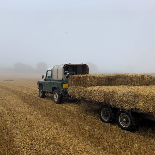 Misty morning bailing