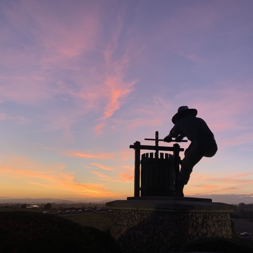 The Grape Crusher in Napa