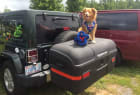 Jeep Wrangler with StowAway Max Box and Dog Libby