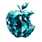 Apple Inc.