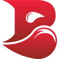 BLEED Esports
