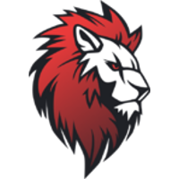 Leo Team