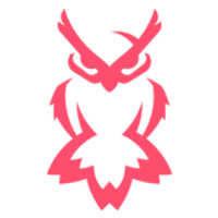 Nocturnal Esports Logo