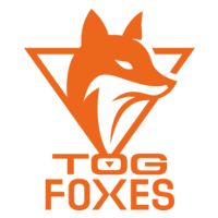 Home 45 Teamorangegaming Logo