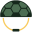 Turtle Troop