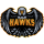 Hawks