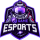 2GAME Esports