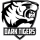 Dark Tigers