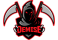 Team Demise