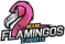 Miami Flamingos