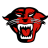 Davenport Panthers