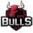 GTZ Bulls Esports