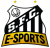 Santos e-Sports