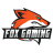 fox gaming