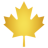 Team Maple
