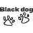 Black Dog