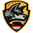 Copenhagen Wolves Academy