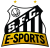 Santos e-Sports