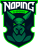 NoPing Esports