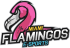 Miami Flamingos