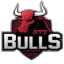 GTZ Bulls Esports