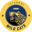 Istanbul Wildcats