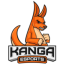 Kanga Esports