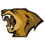 Lynn Vision Gaming