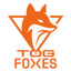 TeamOrangeGaming
