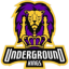 Underground Kings Esports