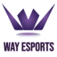 WAY Esports