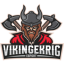 Vikingekrig Esports