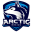 Arctic Gaming México