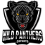 Wild Panthers Esports