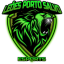 Leoes Porto Salvo Esports