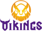 MGN Vikings Academy