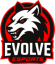 Evolve eSports