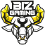 Biz Gaming