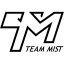 Team Mist